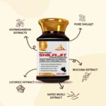 Buy Advanced Shilajit Power Booster Capsules