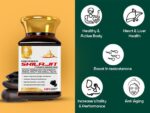 Buy Advanced Shilajit Power Booster Capsules Online