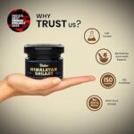 Buy Dabur Himalayan Shilajit Resin Online