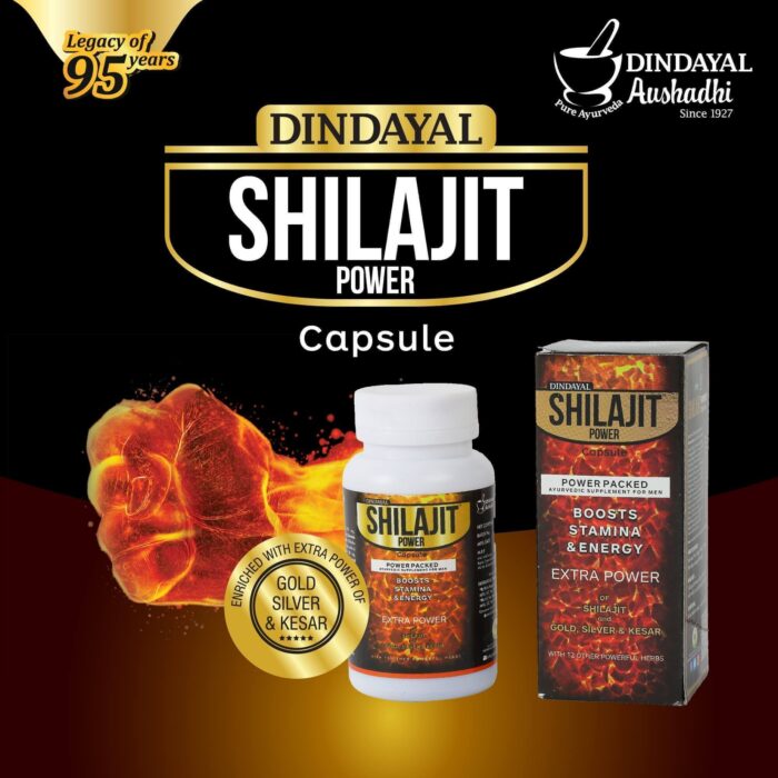 Buy Dindayal Aushadhi Shilajit Power Capsule