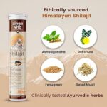 Buy Zingavita Ayurveda Himalayan Shilajit Effervescent Online in USA, UK