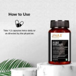 Jiva Ayurveda Pure Shilajeet Capsule Online