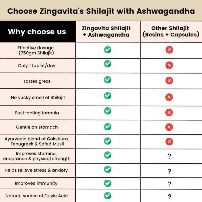 Purchase Zingavita Ayurveda Himalayan Shilajit Effervescent Online