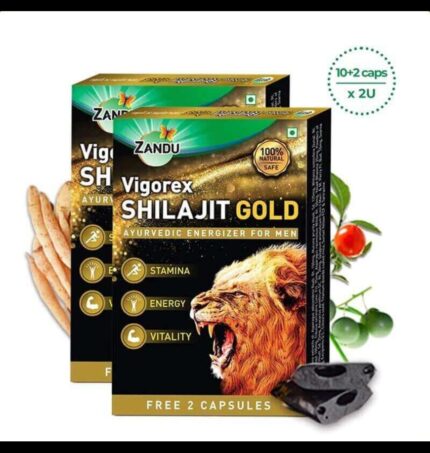 Zandu Vigorex Shilajit Gold Capsule