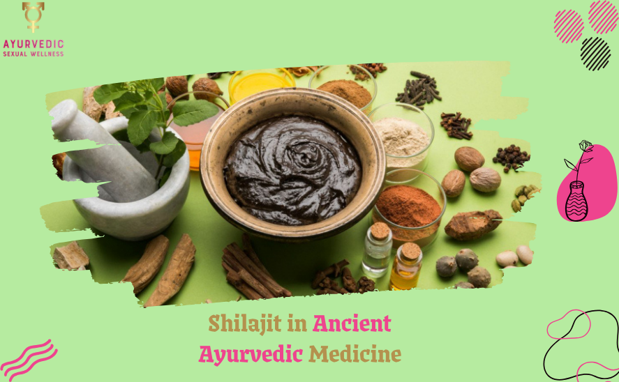 Shilajit in Ancient Ayurvedic Medicine.